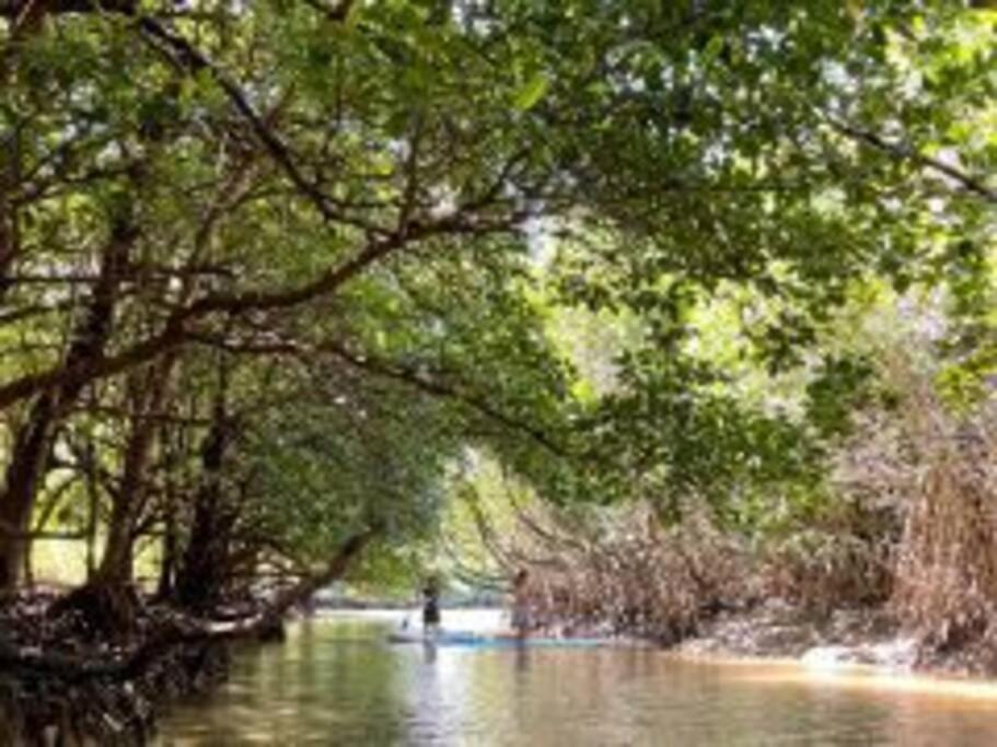 美崎の宿　バーローン Ishigaki  Bagian luar foto